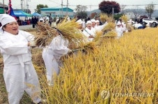 광주 북구 용전 들노래