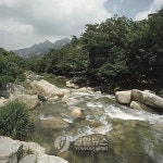 월악산국립공원 3개 탐방로 산불예방 위해 일시통제