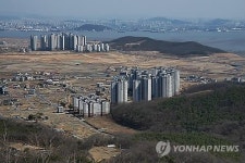 인천시, 영종도에 테마파크 유치한다