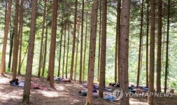 숲 치유 프로그램 새터민 스트레스도 덜어낸다