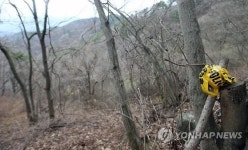 무학산 살인사건 현장에 남은 폴리스 라인 뭉치