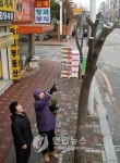 가로수 훼손하면 처벌…광주시 보호 대책 시행