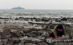 인천 섬 조개 씨 마르나…담합조사로 종패 못 뿌려