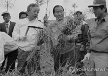 <YS 서거> 벼 베는 김영삼