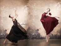 국악원 국수호 초청 수요춤전·서울시무용단 더토핑