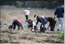 고성공룡나라 하남휴게소, 농가일손 돕기 자원봉사 진행