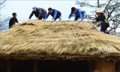  충북농기원 초가 지붕 단장