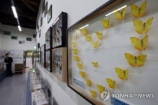 영등포구청 곤충체험학습장