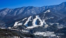 수도권 최대 규모 스키장 포천 베어스타운 29일 개장