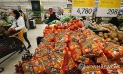 양파가 금파 11월 가격 99% 상승