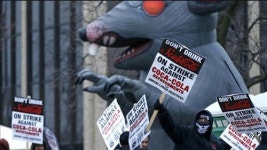 시카고 코카콜라 노조 파업…간부들 야구방망이 들고 위협