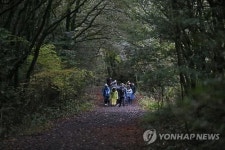 동백동산 탐방로