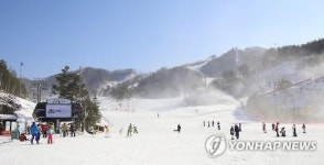 함박눈 뒤 포근한 날씨…원주 오크벨리 스키장 북적