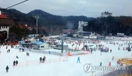 용평리조트 스키장에 몰린 인파