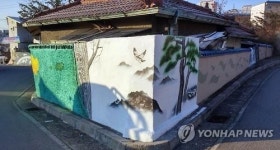 춘천 삭막한 골목이 벽화로 단장