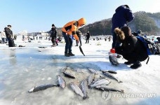 펄떡펄떡 송어낚시 오세요…평창송어축제 18일 개막