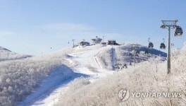 하이원리조트, 게릴라 경품 이벤트 진행