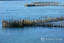 전통적 어로법 '죽방렴'으로 잡은 멸치가 비싼 이유는