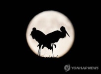 몸, 마음, 영혼의 삼위일체를 위해