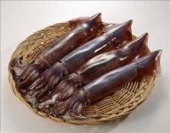 이상 고온에 오징어 풍년…생물 매출 급증