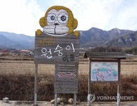 여기가 황금 원숭이마을 입니다