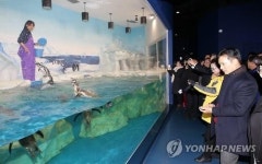 강릉 경포의 볼거리 석호생태관 준공