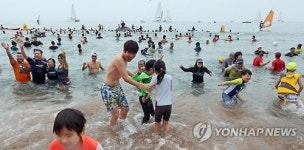 서귀포 겨울 바다 펭귄수영대회