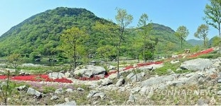 순창 용궐산 자연휴양림 조성 탄력…개발제한 완화·국비 지원