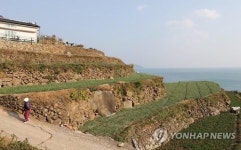<Weekly Travel> 남해 바래길, 다랭이마을