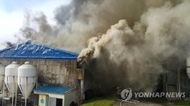 제주 서귀포 돼지우리서 큰 불…소방당국 진화 중