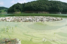 근절 안 되는 상류지역 오염물질 불법 배출…대청호 몸살