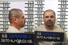 마약왕 구스만 체포로 인기 되살아난 