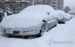 하늘·바닷길 막힌 제주, 육상 교통도 차질