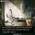 <카드뉴스> 카페서 낚시할래, 낮잠 잘래?…체험카페 전성시대
