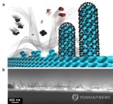 울산과기원, 천연가스 이용 나노와이어 개발