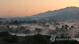 물안개 피어오르는 섬진강 침실습지