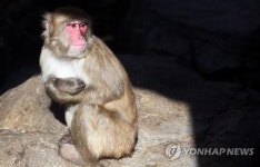 햇볕이 좋아