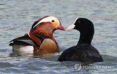 이뤄질수 없는 사랑?