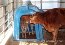 너희들이라도 춥지마라