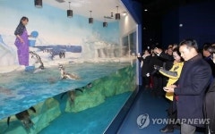 설 연휴 경포 아쿠아리움 가 볼까…민속놀이장 운영