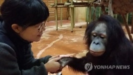 해보니 어렵네 일일사육사 된 서울대공원 직원들