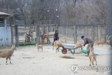 해보니 어렵네 일일사육사 된 서울대공원 직원들