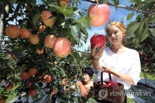 충남 향토음식 만나 진화한 고속도로휴게소 메뉴 인기