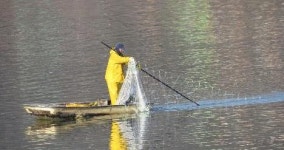 고기 잡자 철새는 가고… 주남저수지 어로활동 논란