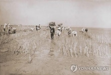 낙동강 하구 옛 모습