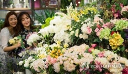 봄꽃으로 집 분위기 바꿔볼까?