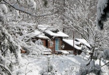 눈덮인 가평 유명산자연휴양림