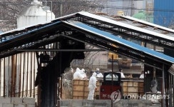 천안 돼지농가 구제역