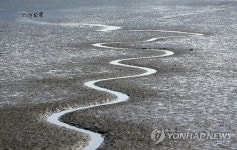 갯벌이 만든 길