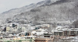 하얗게 변한 우암산